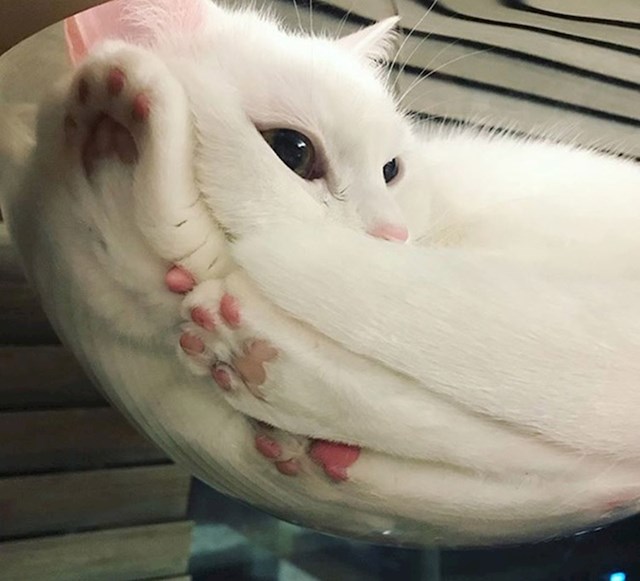 13.