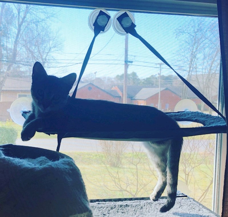 11. Samo jedna noga joj visi