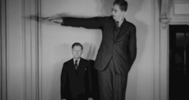 VIDEO 15 divova iz stvarnog života koje morate vidjeti vlastitim očima da biste vjerovali