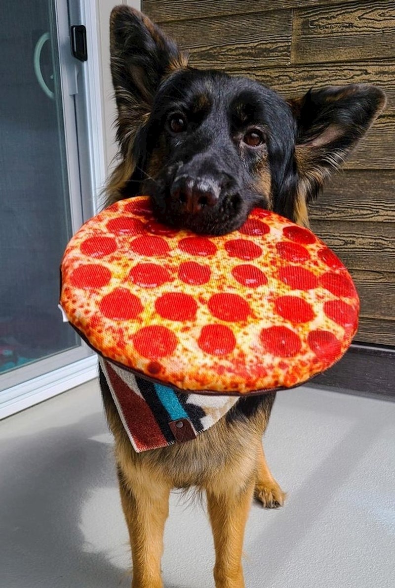 18. Naravno da joj je najdraža igračka u obliku hrane.