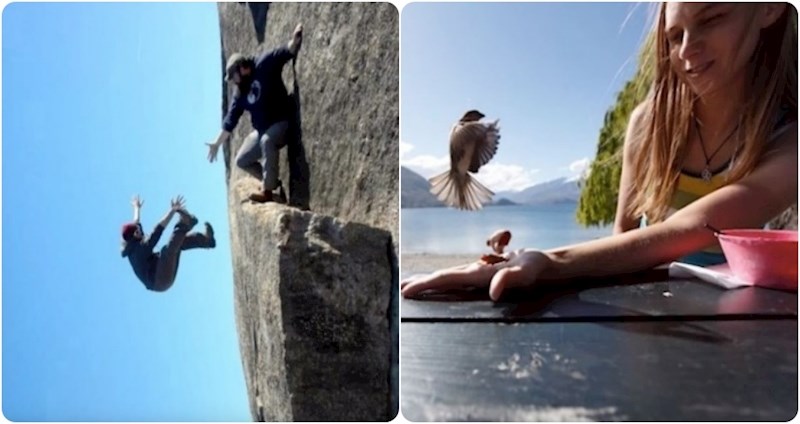 15 impresivnih fotografija koje dokazuju koliko je bitan kut snimanja