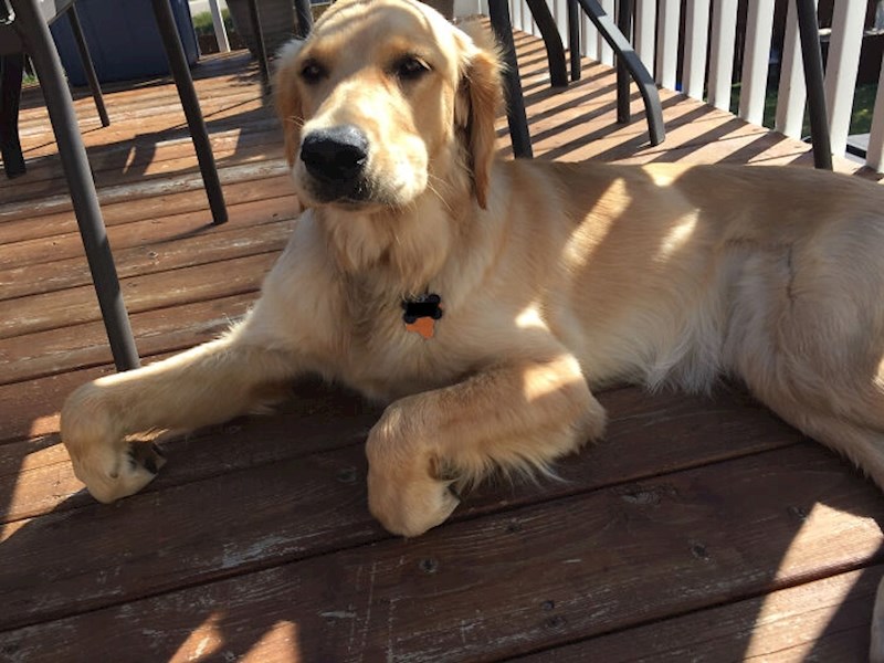 3. "Ovako sjedne svaki put kad izvadim klješta za nokte"