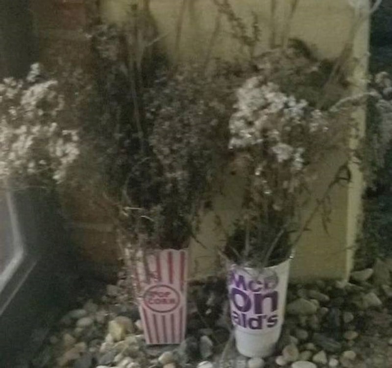 7. Zanimljive "vaze"