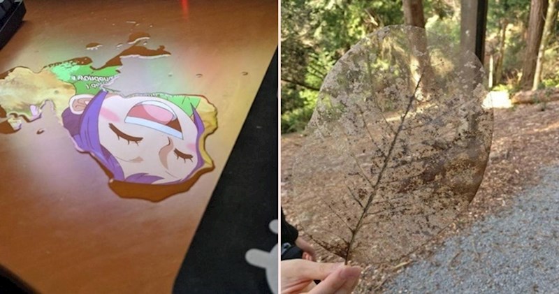 25 prilično cool stvari i situacija koje su ljudi slučajno doživjeli