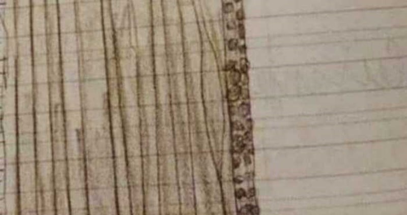 Klinac je za zadaću morao nacrtati najdraži instrument, rezultat je apsolutni hit