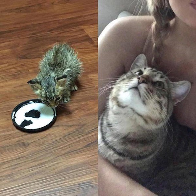 12.