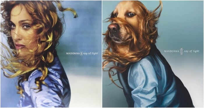 Ovaj pas rekreira ikonične fotke s Madonninih albuma, rezultati su urnebesni