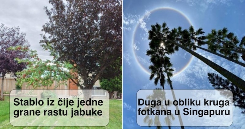 15 ljudi koji su uspjeli fotkati nezaboravne prizore, ovako nešto vjerojatno nikad niste vidjeli