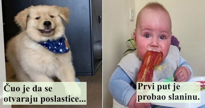 15 duhovitih fotki koje su sve smješnije što ih više gledate