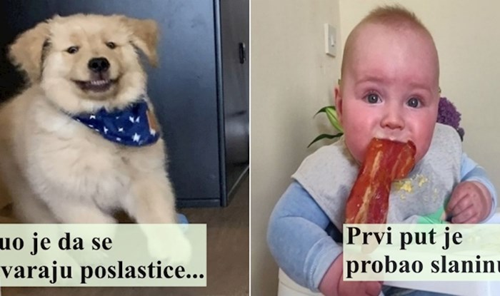 15 duhovitih fotki koje su sve smješnije što ih više gledate