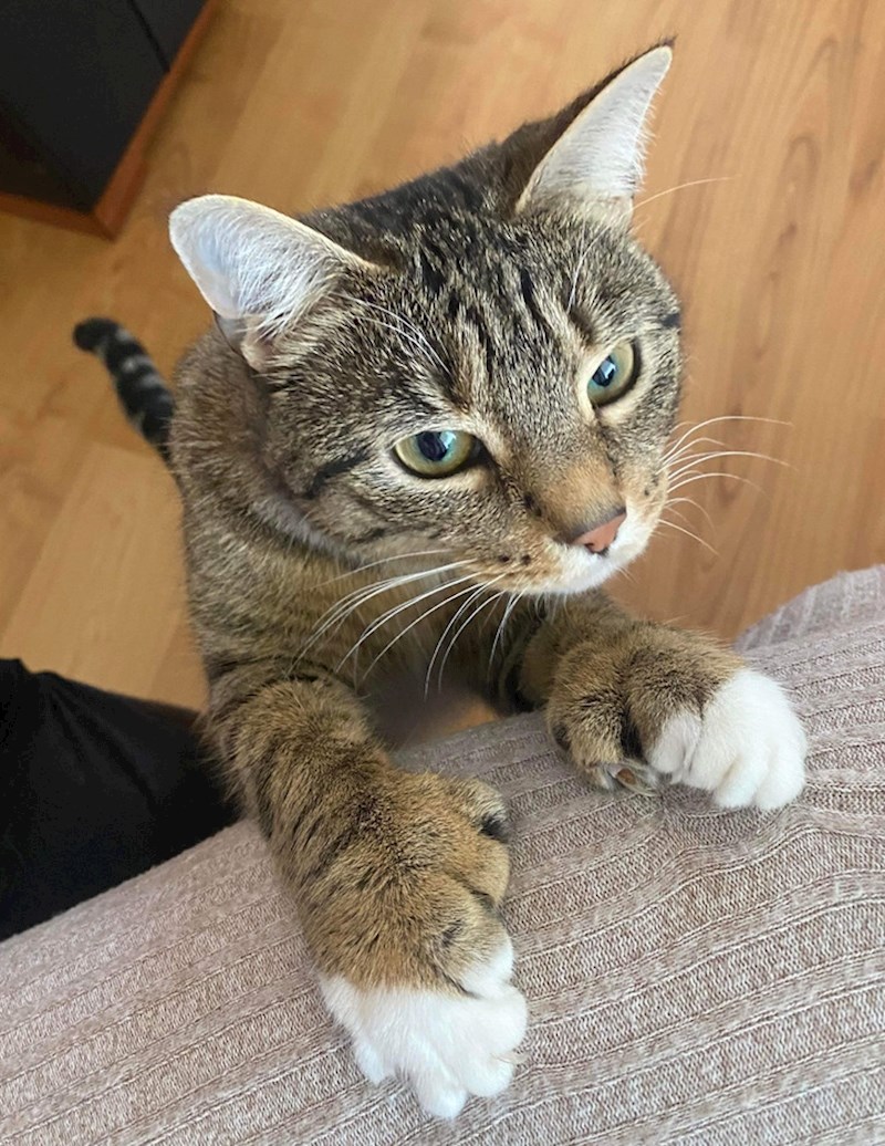 7. Od viška glava ne boli!😄