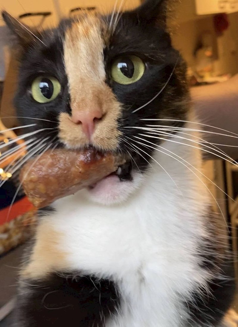 "Kobase su najbolje."