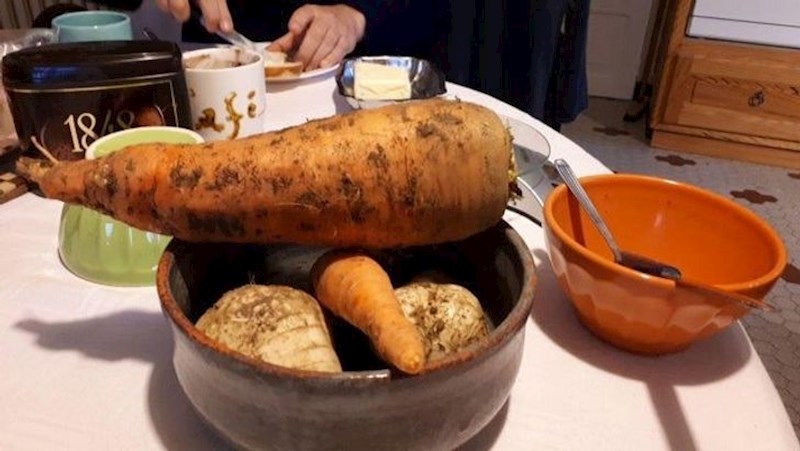 "Mrkva iz vrta moje bake i djeda."