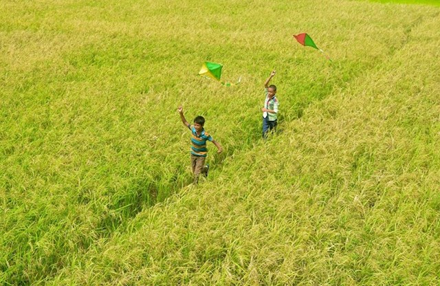 #23 "Prijateljstvo i djetinjstvo"; Rangpur, Bangladeš