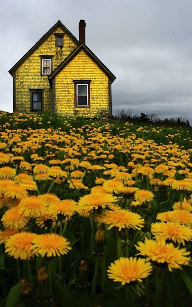 9. Napuštena kuća u Kanadi