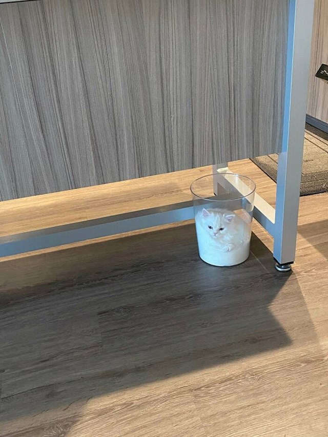 3.