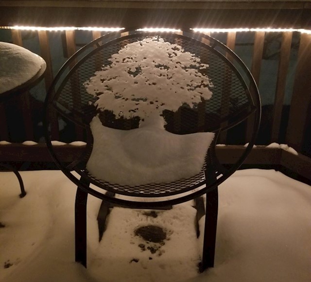 17. Snježna krošnja stabla slučajno nastala na stolici