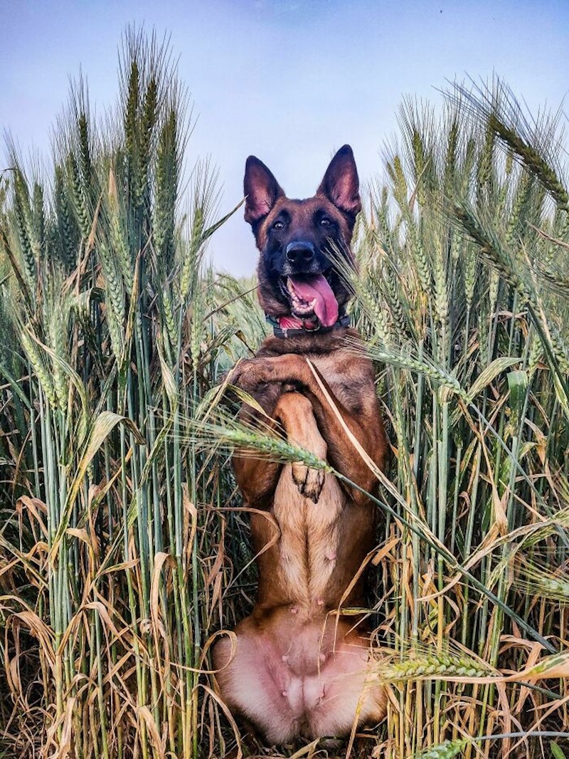 18. "On obožava ovako pozirati."