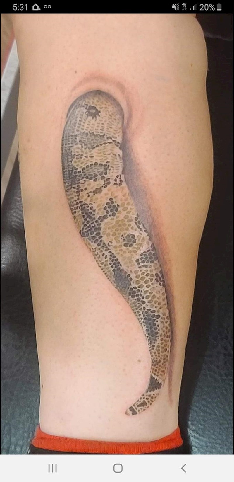 14. To bi, navodno, trebala biti tetovaža zmije