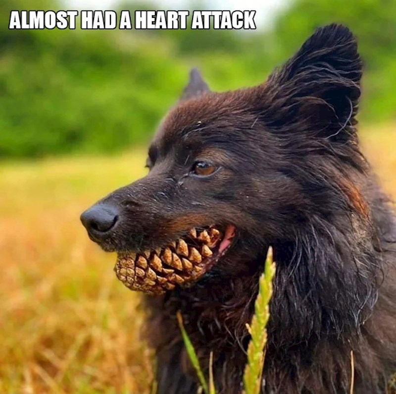 5. I on je skoro dobio srčani kad je ugledao svoga ljubimca koji se odjednom pretvorio u demona