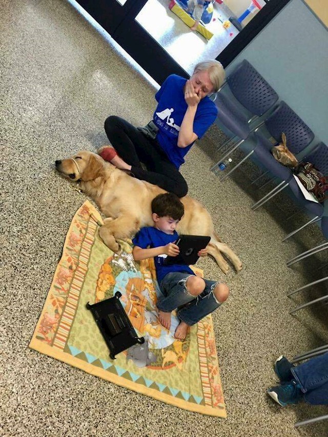 12. Dječak koji boluje od autizma, i koji baš nikome ne da da ga dotakne, odmah se povezao sa terapijskim psom. Njegova mama plače od sreće!