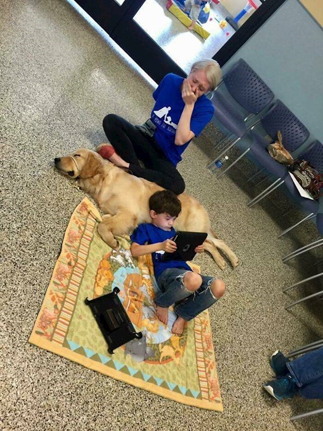 12. Dječak koji boluje od autizma, i koji baš nikome ne da da ga dotakne, odmah se povezao sa terapijskim psom. Njegova mama plače od sreće!