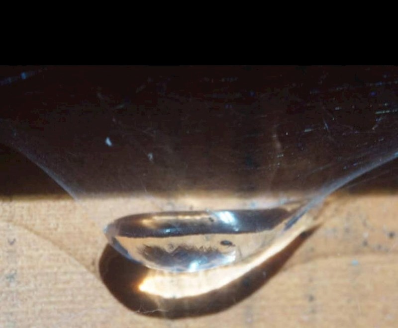 8. "Danas sam naučio da paukova mreža može zadržati punu žlicu vode!"