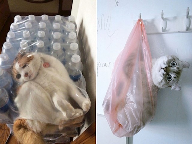 13.