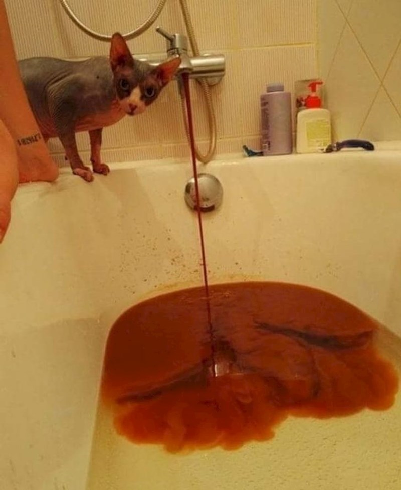 1. Ode želja za kupanjem