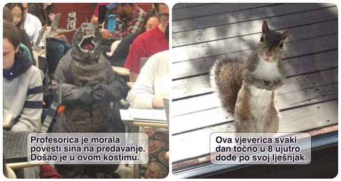 20+ smiješnih toplih priča koje će vam u sekundi popraviti raspoloženje