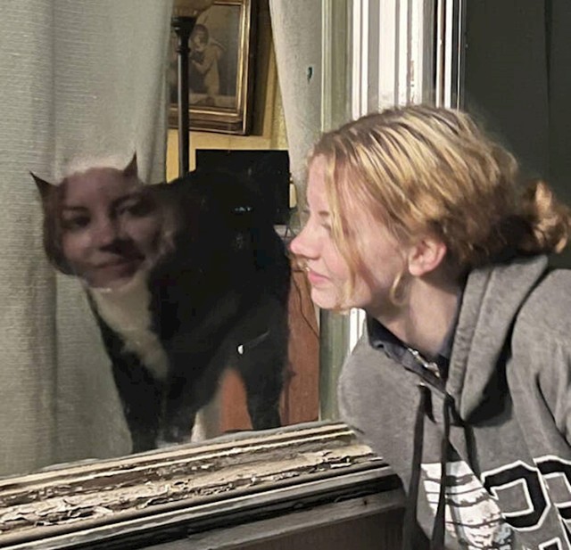 8.