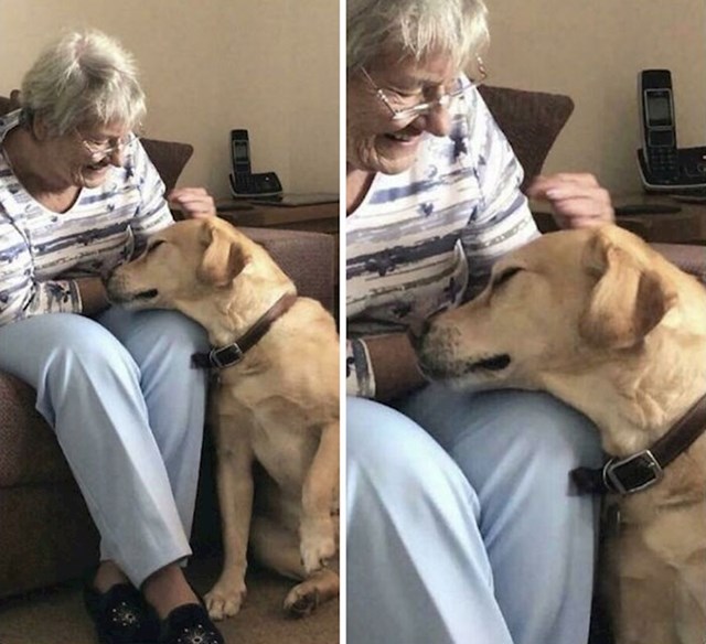 7. "Moja baka ima demenciju i svaki dan iznova upoznaje moga psa. I svaki dan se ponovno zaljubi u njega!"