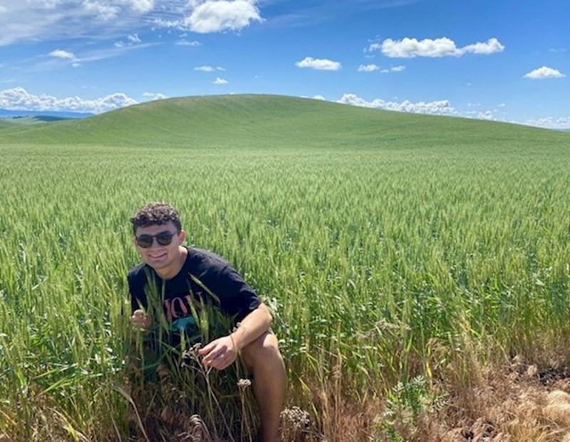 13. Ušao je u Windows XP!😝