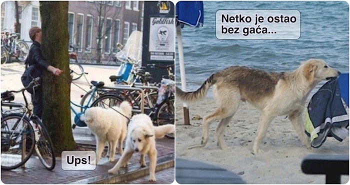 19 ljudi doživjeli su čudne nezgode u koje nitko ne bi povjerovao da nema ovih foto dokaza
