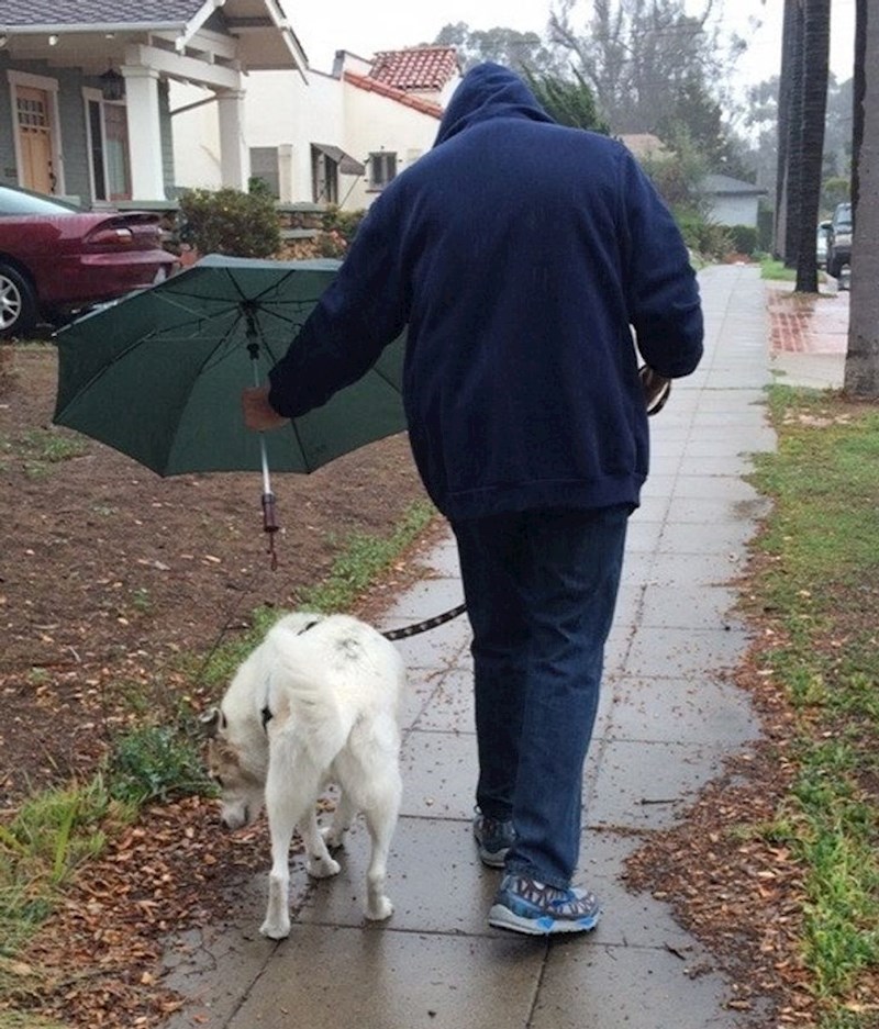 1. Njegov pas ima 13 godina i zaključio je da njemu kišobran više treba.🥰