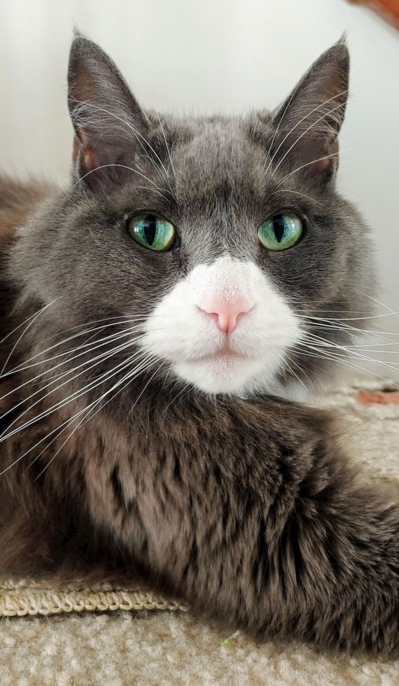 7. Ponestalo je boje u printeru..🤣