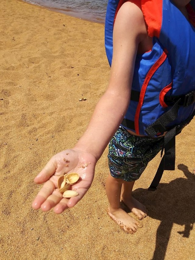 "Moj sin misli da je našao školjke na plaži. Nemam mu srca reći što je to..."