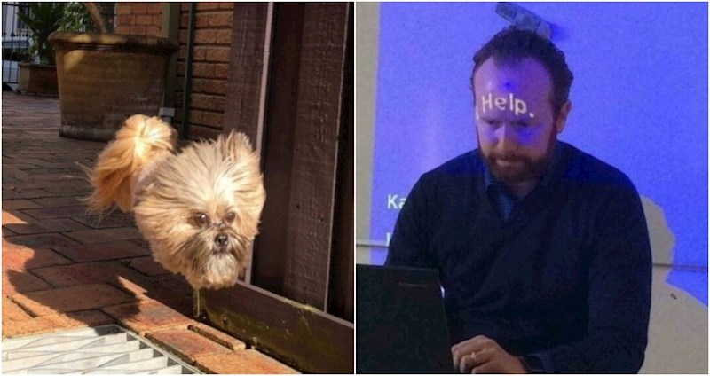 17 puta kad su ljudi pogodili savršen tajming i okinuli urnebesne fotke za pamćenje