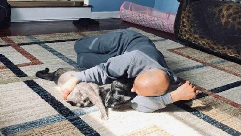 13. Nije htio mačku, a onda je sam donio drugu, da jadna ne bude usamljena