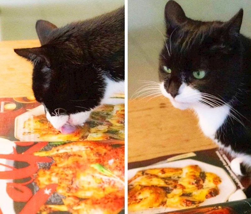 10. Ovo je pravi slikoviti prikaz razočaranja.