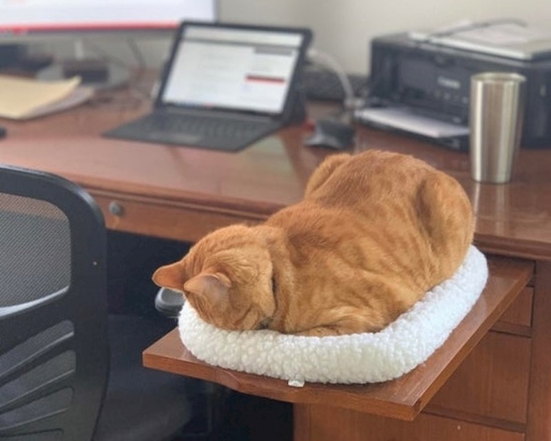 "Ništa me ne veseli."