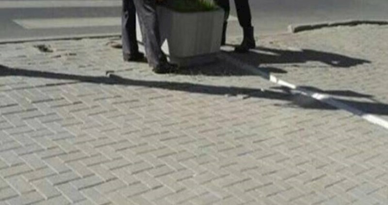 Ova dva genijalca iz Rusije pokušala su urediti biljku na čudan način