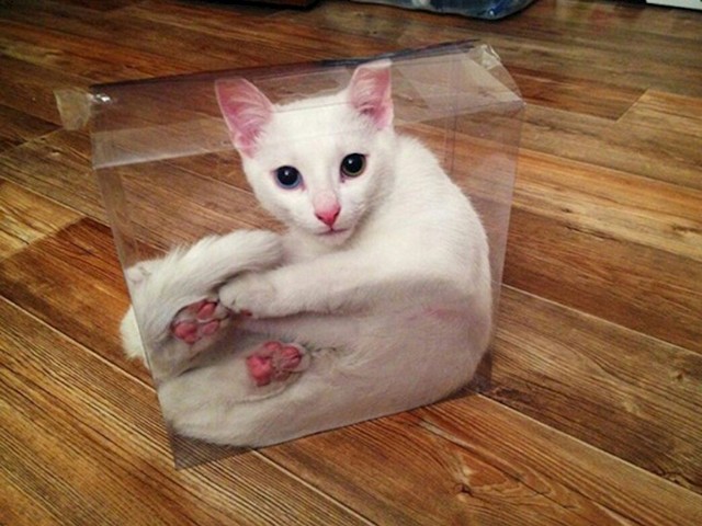 7.