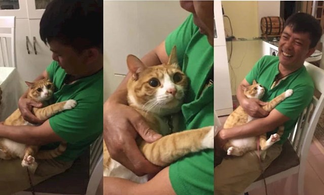 14. Mačka živi kod njega već nekoliko godina, ali danas mu je prvi puta sjela u naručje