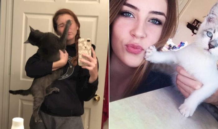 22 ljudi koji su se pokušali fotkati s mačkama, ali su one to sabotirale