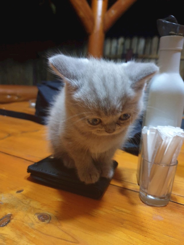 17.