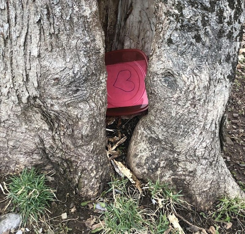 10. Netko je u ovu crvenu kutijicu sa srcem sakrio poruku i poklon za neku svoju posebnu osobu!❤️