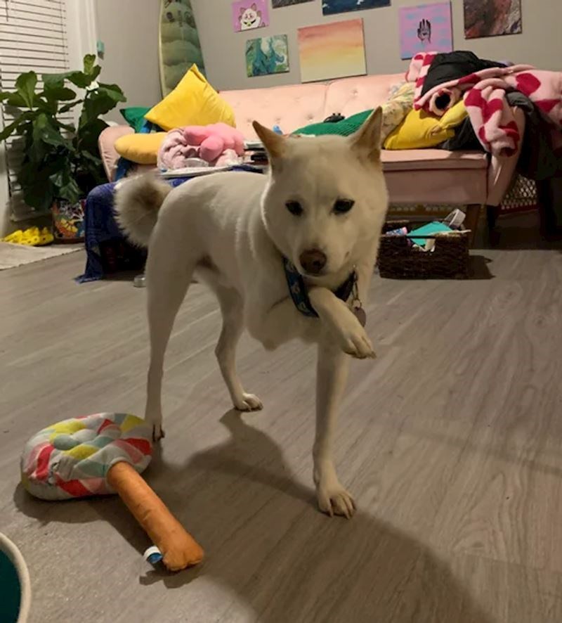 8. Kako i zašto?😝