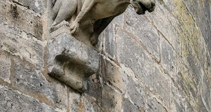 Ovaj kameni kip lava ima najbolju grivu koju ste ikad vidjeli