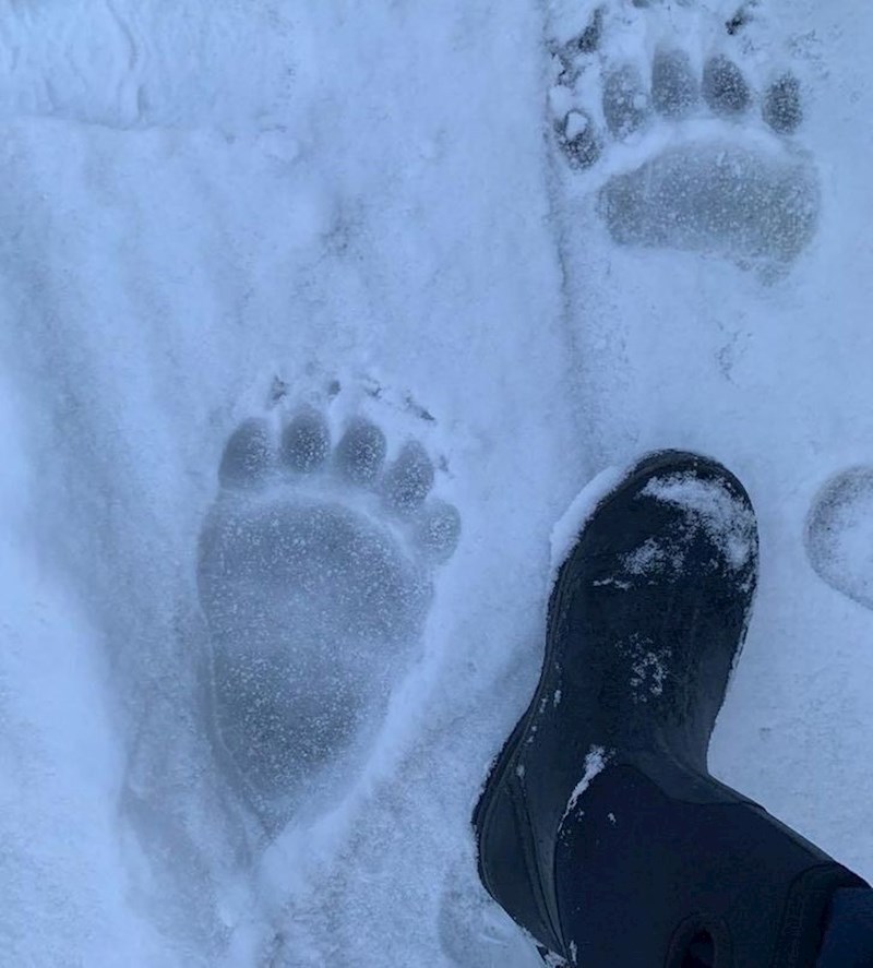 Sad bar zna da je imao posjetitelja...